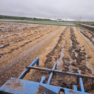 전준식님의 기타작물 · 영농일지 작성글 사진
