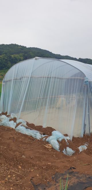 Kns4324님의 기타작물 · 영농일지 작성글 사진