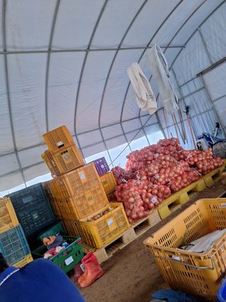 마늘25328님의 기타작물 · 영농일지 작성글 사진