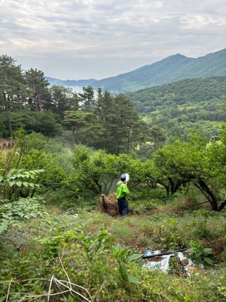 백민곤님의 기타작물 · 영농일지 작성글 사진