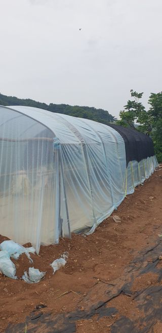 Kns4324님의 기타작물 · 영농일지 작성글 사진