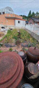 팜모닝 기타작물·영농일지 게시글 이미지