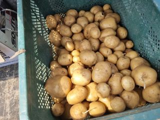 원인호님의 기타작물 · 영농일지 작성글 사진