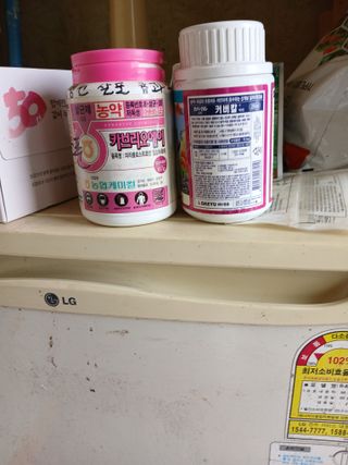 백영호님의 고추 · 영농일지 작성글 사진