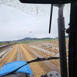 팜모닝 기타작물·영농일지 게시글 이미지