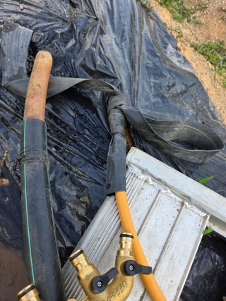 김윤회님의 오이 · 영농일지 작성글 사진