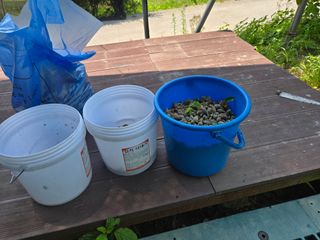 신이내린오디 정가네님의 감 · 영농일지 작성글 사진