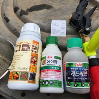 유원준님의 고추 · 영농일지 작성글 사진