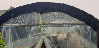 Kns4324님의 기타작물 · 영농일지 작성글 사진