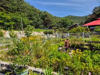 김영수님의 상추 · 영농일지 작성글 사진