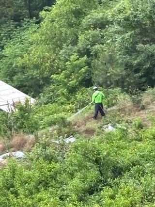 백민곤님의 기타작물 · 영농일지 작성글 사진