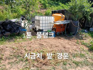 안승호님의 고추 · 영농일지 작성글 사진