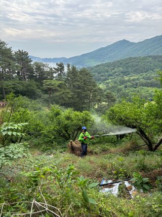 백민곤님의 기타작물 · 영농일지 작성글 사진