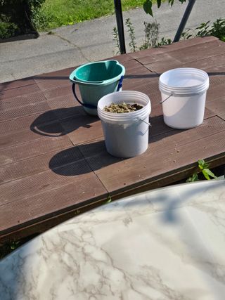 신이내린오디 정가네님의 감 · 영농일지 작성글 사진