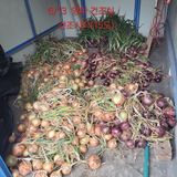 팜모닝 기타작물·영농일지 게시글 이미지