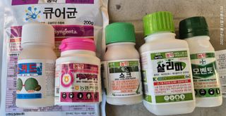 달맛햇복숭아농원님의 복숭아 · 영농일지 작성글 사진