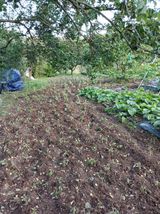 팜모닝 기타작물·영농일지 게시글 이미지