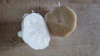 김지철님의 기타작물 · 영농일지 작성글 사진