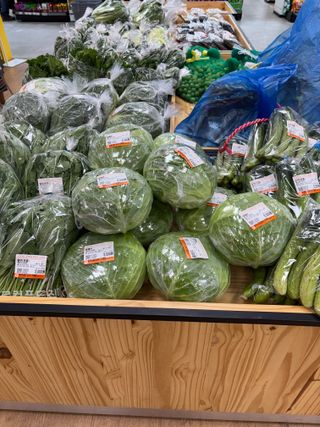 김영완님의 배추 · 영농일지 작성글 사진