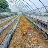 팜모닝 콩·영농일지 게시글 이미지