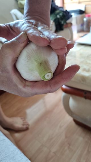 김지철님의 기타작물 · 영농일지 작성글 사진