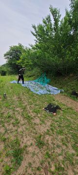 팜모닝 기타작물·영농일지 게시글 이미지