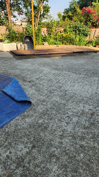 봉담고추님의 들깨 · 영농일지 작성글 사진