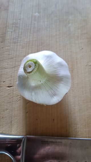 김지철님의 기타작물 · 영농일지 작성글 사진