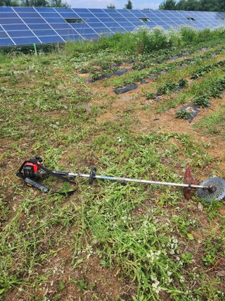박병한님의 참깨 · 영농일지 작성글 사진