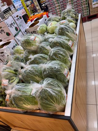 김영완님의 배추 · 영농일지 작성글 사진