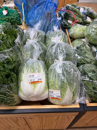 김영완님의 배추 · 영농일지 작성글 사진