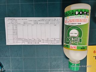 모래알님의 귤 · 영농일지 작성글 사진