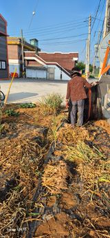 팜모닝 마늘·영농일지 게시글 이미지