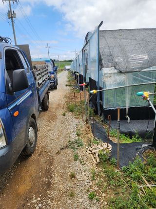김저팔계님의 기타작물 · 영농일지 작성글 사진