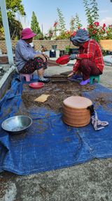 팜모닝 들깨·영농일지 게시글 이미지