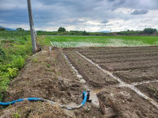 갈미할배님의 콩 · 영농일지 작성글 사진