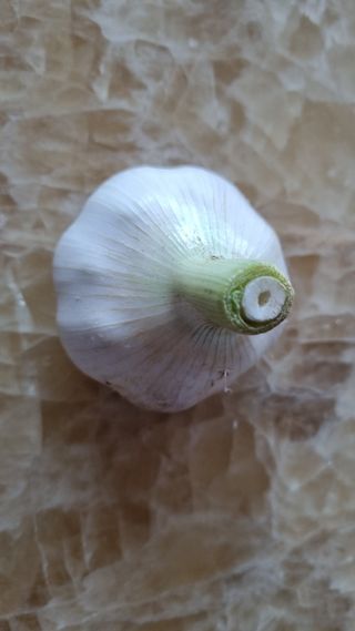 김지철님의 기타작물 · 영농일지 작성글 사진