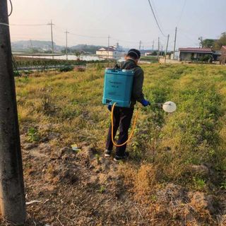 안전요원님의 마늘 · 영농일지 작성글 사진