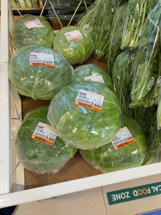 김영완님의 배추 · 영농일지 작성글 사진