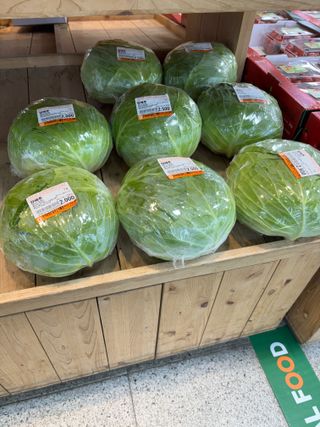 김영완님의 배추 · 영농일지 작성글 사진