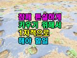 팜모닝 기타작물·영농일지 게시글 이미지
