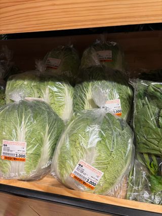 김영완님의 양배추 · 영농일지 작성글 사진