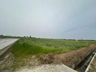 사랑의 전령사❤순우님의 기타작물 · 영농일지 작성글 사진