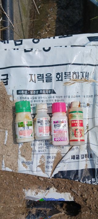 김 연님의 기타작물 · 영농일지 작성글 사진