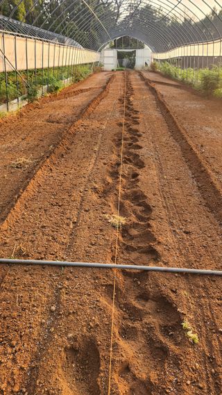 봉담고추님의 콩 · 영농일지 작성글 사진