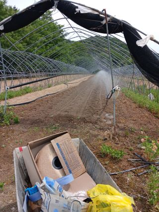 자기왕사랑해님의 참깨 · 영농일지 작성글 사진