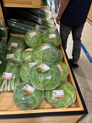 김영완님의 양배추 · 영농일지 작성글 사진