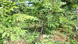 수기님의 두릅 · 영농일지 작성글 사진