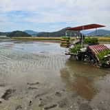 팜모닝 벼·영농일지 게시글 이미지