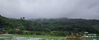 장두원님의 기타작물 · 영농일지 작성글 사진